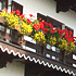house_detail in Germany
