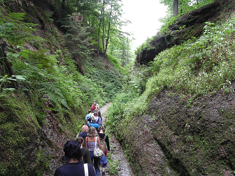 Germany slideshow - Eisenach: Drachenschlucht