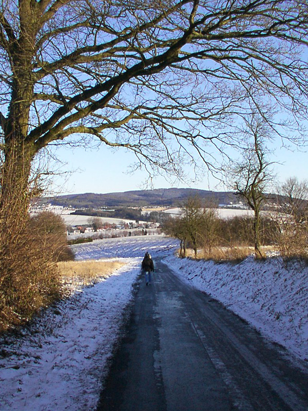 Germany slideshow - Lemgoer: Winterlandschaft