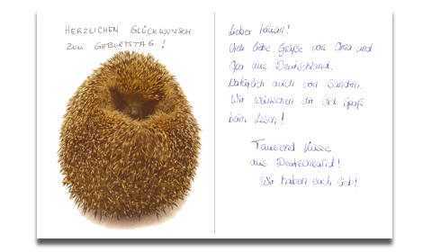 Postcard with handwritten German text